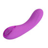 Prettylove Super Power Purple G-Spot Vibrator